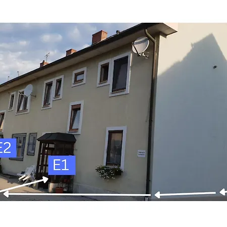 Krummnussbaum Krumnussbaum