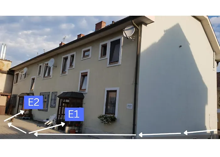 Krummnußbaum Krumnussbaum